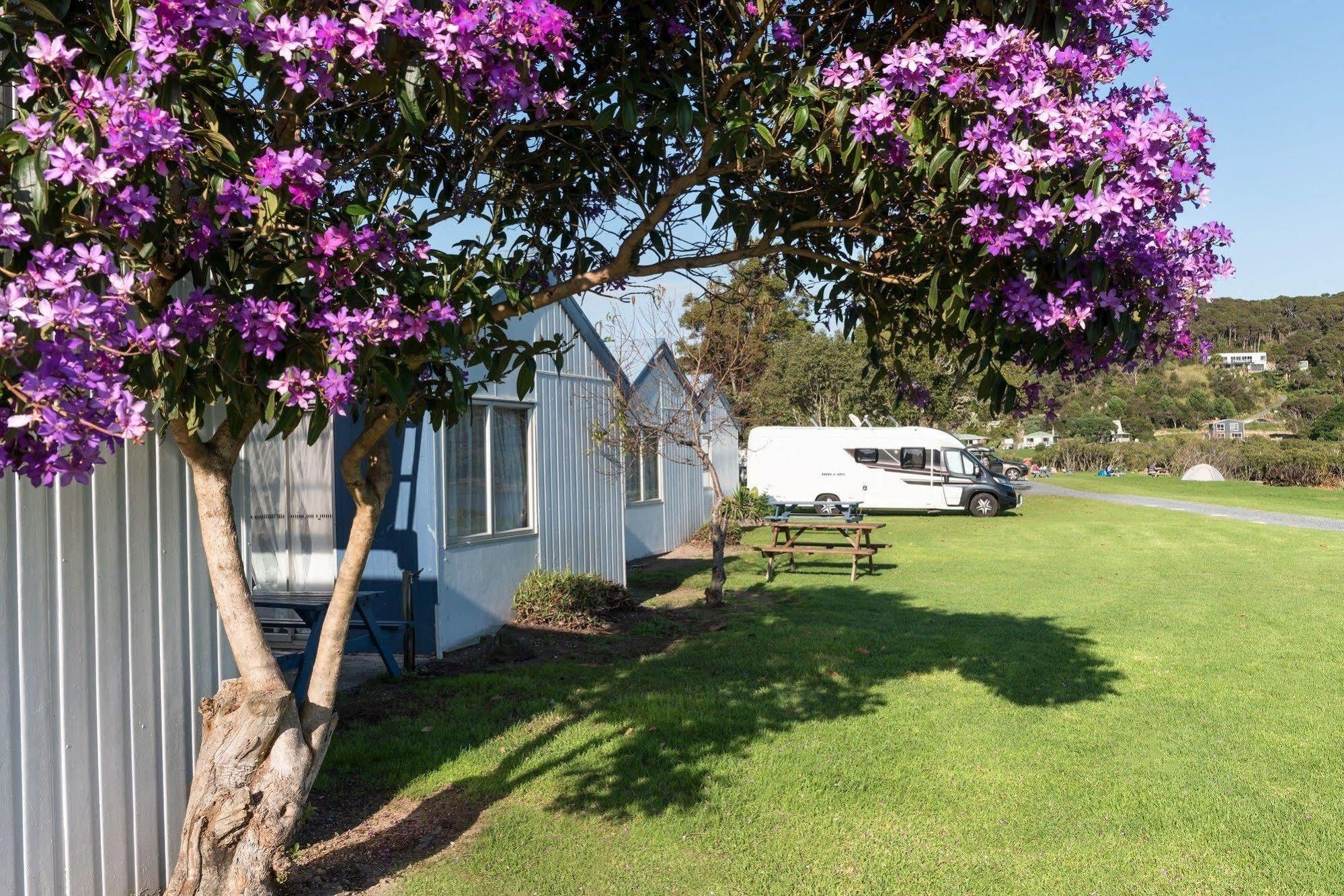 Waitangi Holiday Park Hotel Paihia Ngoại thất bức ảnh